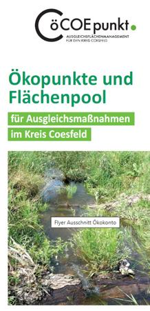 Deckblatt-Flyer-Oekopunkte