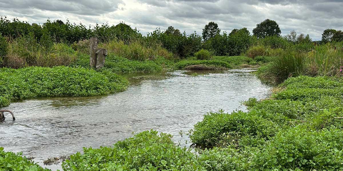 Berkelaue