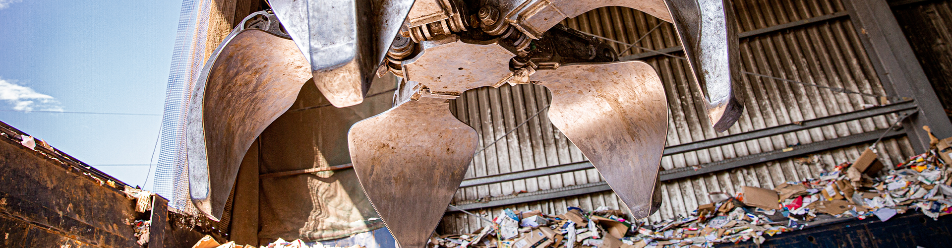 Was gehört in die blaue Tonne?