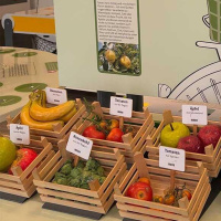 Ausstellung-Lebensmittel